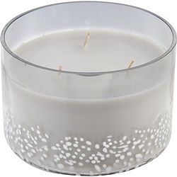 CASHMERE RIDGE SCENTED by  VALE SOY WAX BLEND CANDLE - 25 OZ. BURNS APPROX. 80 HRS.
