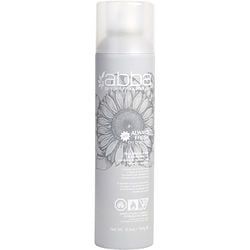 ABBA by ABBA Pure & Natural Hair Care ALWAYS FRESH DRY SHAMPOO 6.5 OZ (NEW PACKAGING)